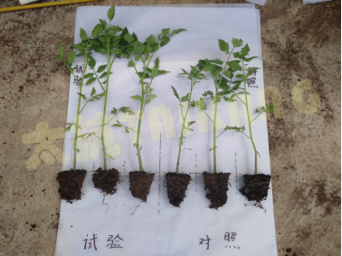 1574819235384329GoX3.png blob.png