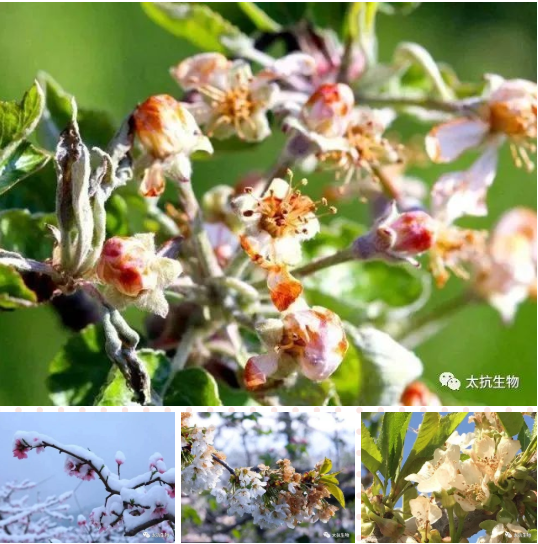 1587375292200072jp4Y.png image.png