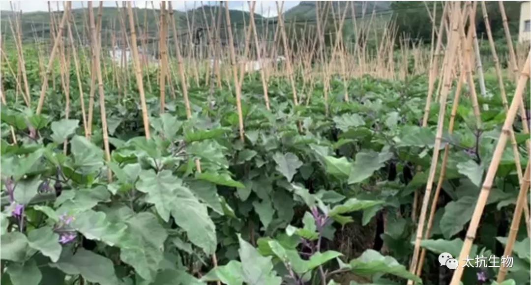 1634827698762002bxRA.jpg 微信圖片_20211021224907.jpg