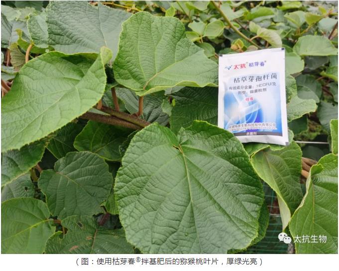 1639374065911267dlEq.jpg 微信截圖_20211213134951.jpg